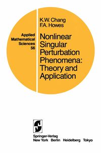 Produktbild: Nonlinear Singular Perturbation Phenomena