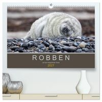 Produktbild: Robben auf der Helgol&auml;nder D&uuml;ne (hochwertiger Premium Wandkalender 2027 DIN A2 quer), Kunstdruck in Hochglanz
