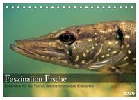 Produktbild: Faszination Fische (Tischkalender 2026 DIN A5 quer), CALVENDO Monatskalender