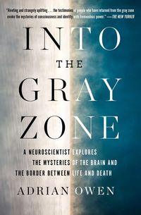 Produktbild: Into the Gray Zone