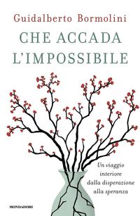 Produktbild: Che accada l'impossibile. Un viaggio interiore dalla disperazione alla speranza