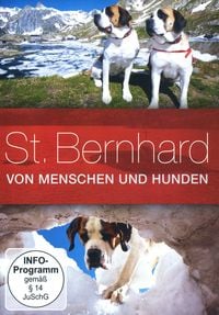 Bild vom Artikel St. Bernhard - Von Menschen und Hunden vom Autor 