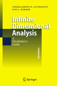 Produktbild: Infinite Dimensional Analysis