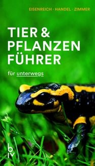 Produktbild Der BLV Tier & Pflanzenführer