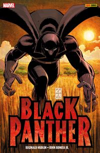 Bild vom Artikel Black Panther - Wer ist Black Panther? vom Autor 