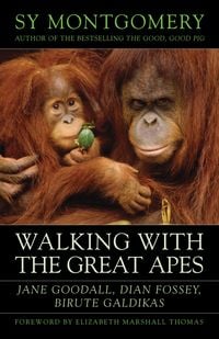 Produktbild: Walking with the Great Apes