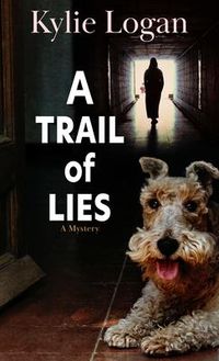 Produktbild: Trail Of Lies -Lp
