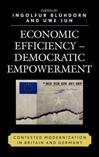 Bild vom Artikel Economic Efficiency, Democratic Empowerment vom Autor Ingolfur Jun, Uwe Bluhdorn