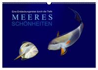 Produktbild: Meeres Sch&ouml;nheiten (Wandkalender 2027 DIN A3 quer), CALVENDO Monatskalender