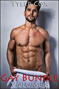 Produktbild: Gay Bundle - Volume 8 (Gay MM Erotic Romance)