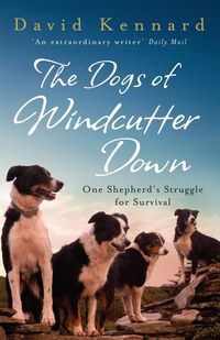 Produktbild: The Dogs of Windcutter Down