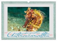 Produktbild: Faszination Unterwasserwelten (Wandkalender 2026 DIN A3 quer), CALVENDO Monatskalender