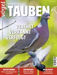 Produktbild: Tauben