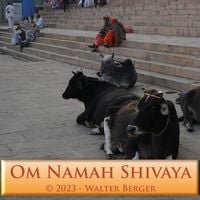 Produktbild: Om Namah Shivaya - 108 Mantras