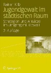 Produktbild: Jugendgewalt im st&auml;dtischen Raum