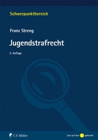 Bild vom Artikel Jugendstrafrecht vom Autor Franz Streng