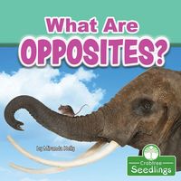 Produktbild: What Are Opposites?