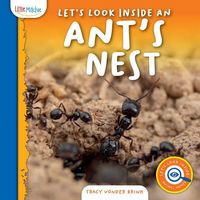 Produktbild: Let's Look Inside an Ant's Nest