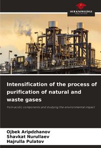 Produktbild: Intensification of the process of purification of natural and waste gases