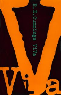 Produktbild: ViVa