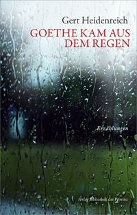 Produktbild: Goethe kam aus dem Regen