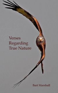 Produktbild: Verses Regarding True Nature