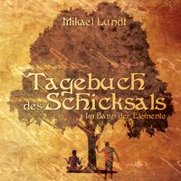 Produktbild: Tagebuch des Schicksals