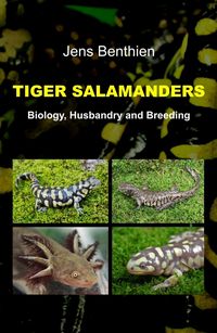 Produktbild: Tiger Salamanders
