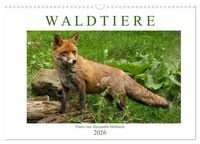 Produktbild: Waldtiere (Wandkalender 2026 DIN A3 quer), CALVENDO Monatskalender