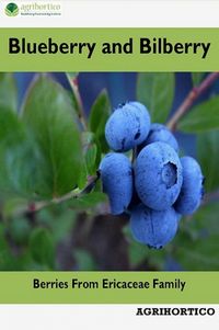 Produktbild: Blueberry and Bilberry