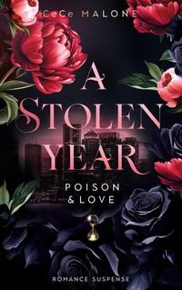 Produktbild: A stolen Year
