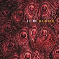 Produktbild: The Rare Birds