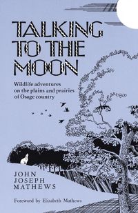 Produktbild: Talking to the Moon
