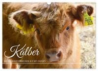Produktbild: K&auml;lber - Kleine Herzensbrecher auf den Wiesen (Wandkalender 2026 DIN A3 quer), CALVENDO Monatskalender