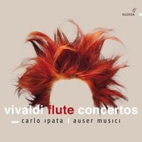 Produktbild: Flute Concertos,Op. 10