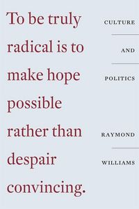 Produktbild: Culture and Politics