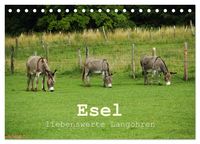 Produktbild: Esel - liebenswerte Langohren (Tischkalender 2027 DIN A5 quer), CALVENDO Monatskalender
