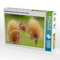 Produktbild: CALVENDO Puzzle Zwergmaus balanciert zwischen zwei wilden Karden. 1000 Teile Lege-Gr&ouml;&szlig;e 64 x 48 cm Foto-Puzzle Bild von CALVENDO