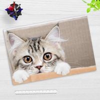 Produktbild: Cover-your-desk Schreibtischunterlage f&uuml;r Kinder und Erwachsene Maine Coon K&auml;tzchen, aus hochwertigem Vinyl , 60 x 40 cm