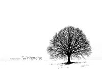 Produktbild: Winterreise D 911