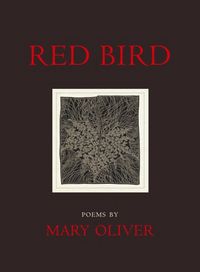 Produktbild: Red Bird