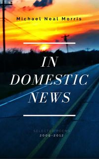 Produktbild: In Domestic News