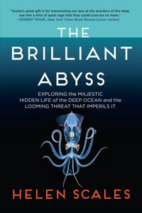 Produktbild: The Brilliant Abyss
