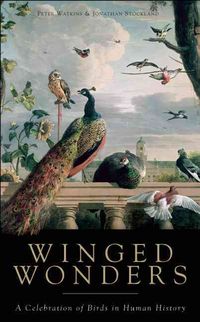 Produktbild: Winged Wonders