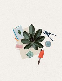 Produktbild: Plant it - Love it! Gro&szlig;es Notizheft - Motiv Pflanzfreuden - Punkteraster
