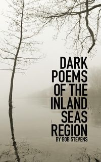 Produktbild: Dark Poems of the Inland Seas Region