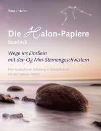 Produktbild: Die Halon-Papiere, Band 4/5