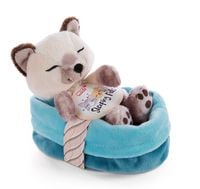 Produktbild: NICI - Sleeping Pets - K&auml;tzchen Siamkatze 12cm im K&ouml;rbchen