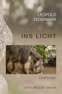 Produktbild: Ins Licht