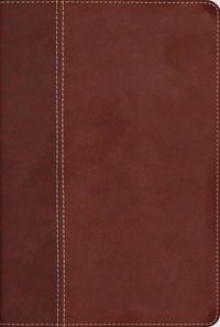 Produktbild: Niv, Cultural Backgrounds Study Bible (Context Changes Everything), Leathersoft, Brown, Red Letter